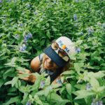 The best gardens in America